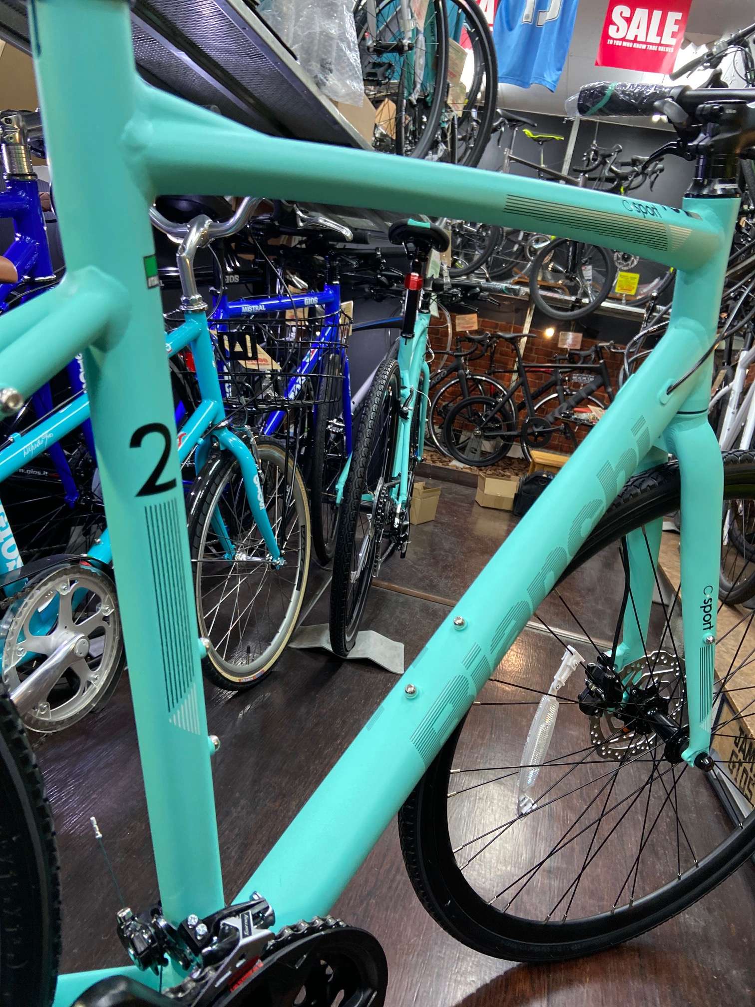 bianchi c sport for sale