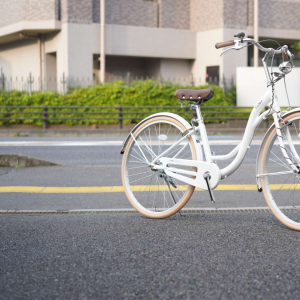 セオサイクル