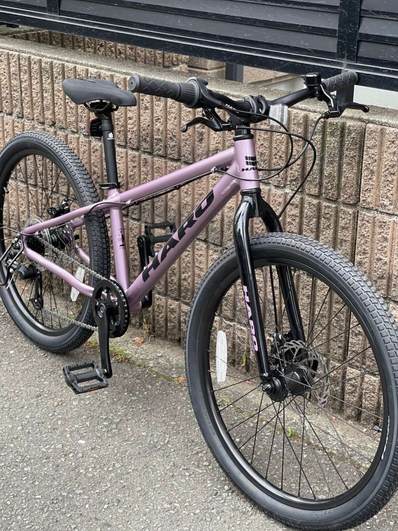 セオサイクル