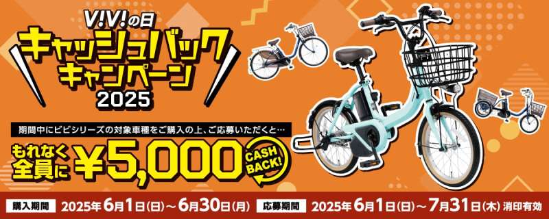 電動自転車 Panasonic Casual vivi グリーン　24⚫️ セオサイクル