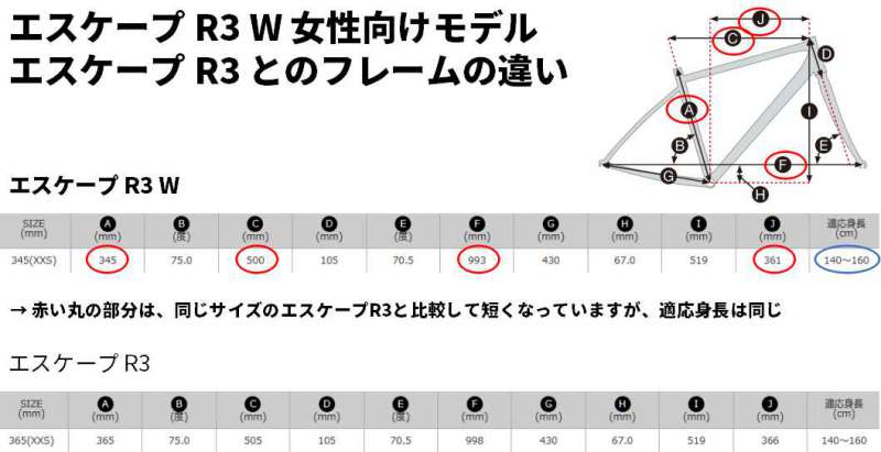 セオサイクル