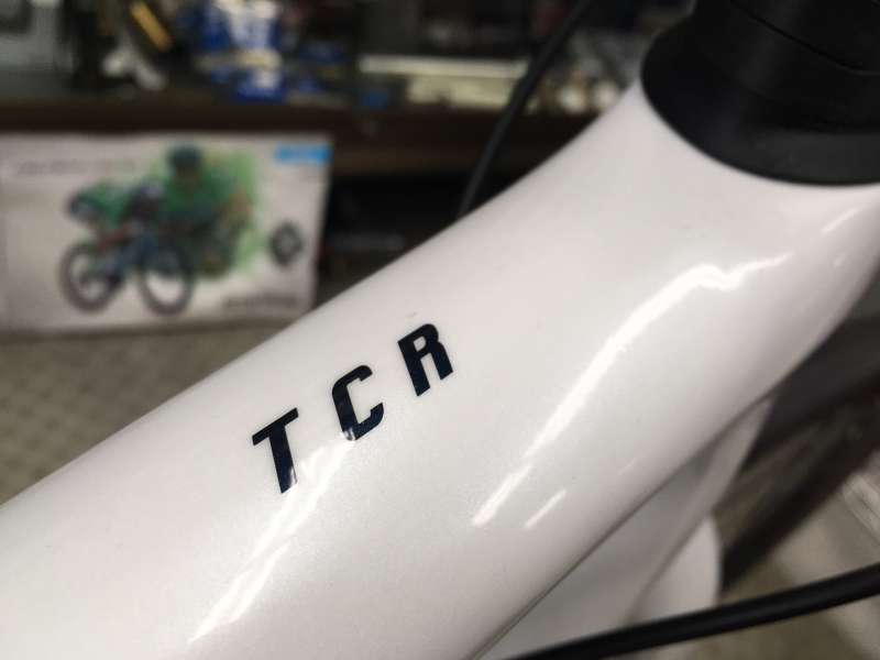買い卸値  TCR 「取りに来られる方限定」GIANT 自転車本体